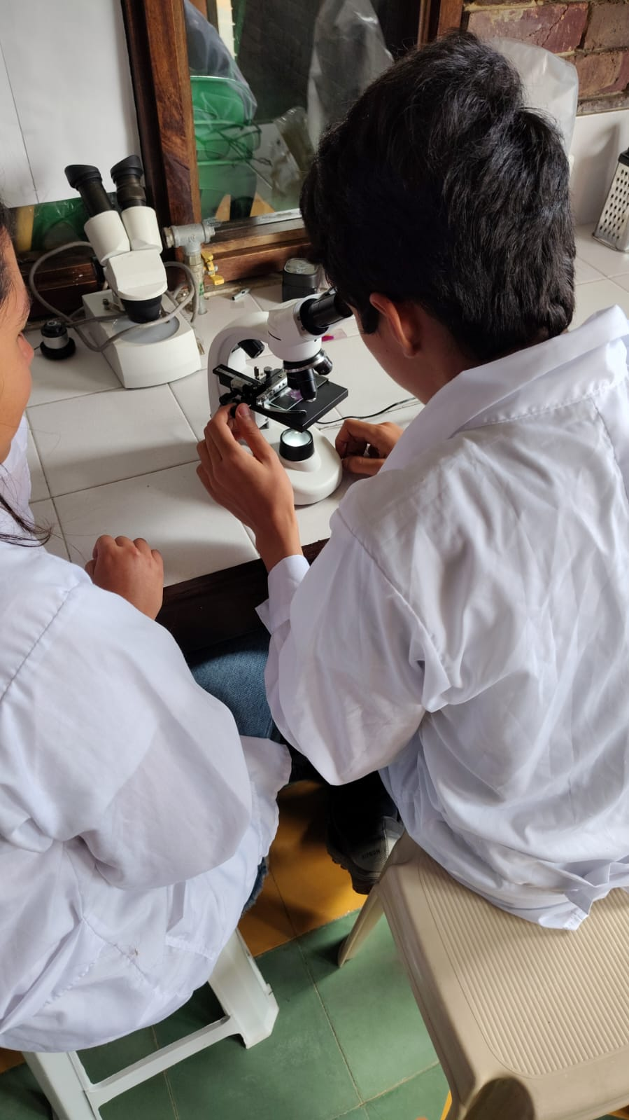 La importancia de las Ferias de Ciencia: un camino holístico entre la investigación, el arte y la comunidad